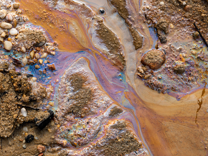 importance of biodegradable lubricant